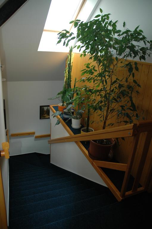 Privat Novac Daire Nové Město nad Metují Dış mekan fotoğraf